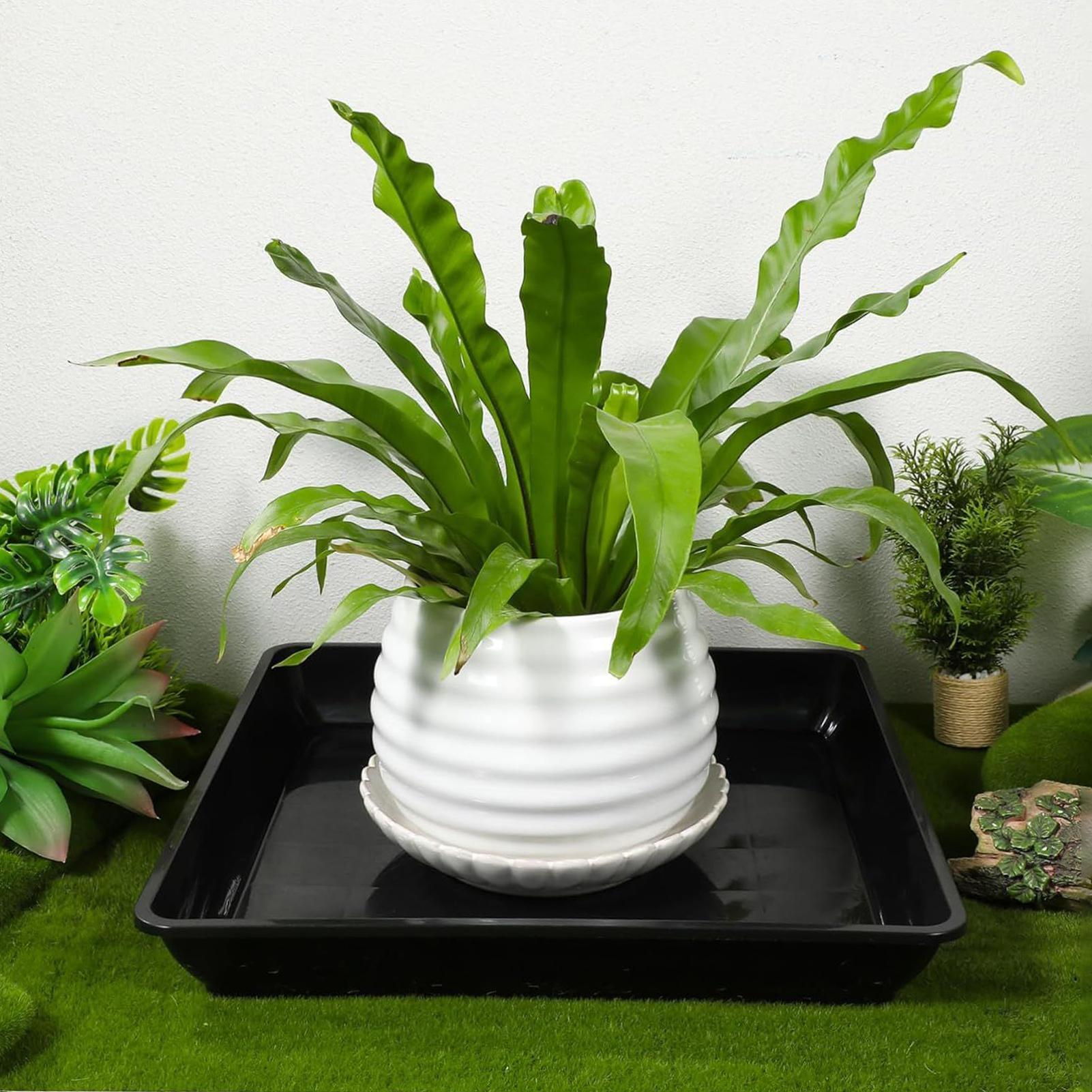 Blumentopfuntersetzer, 2 Stück – Drip Tray Saucer Bewertung und Preis