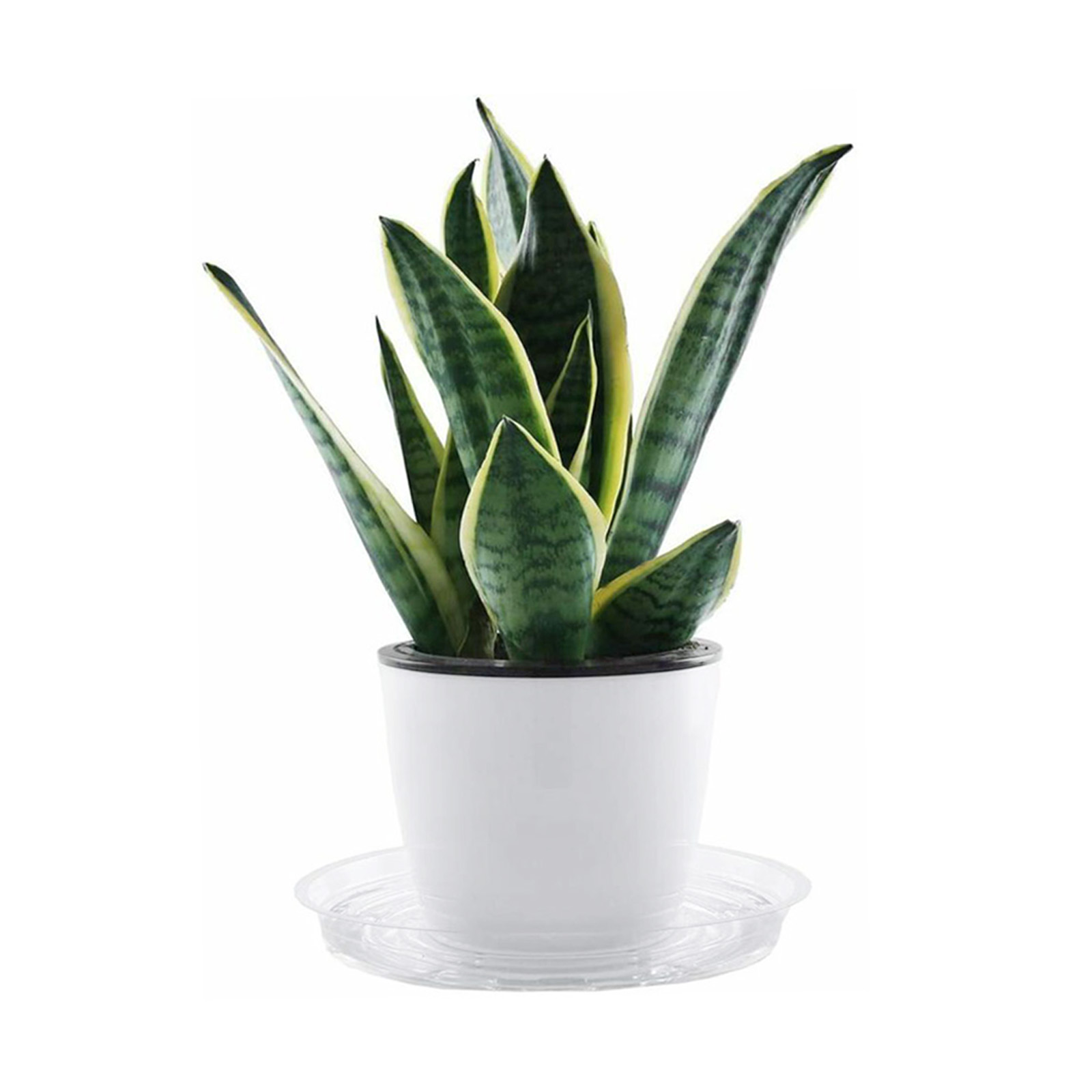 10pc Garten Pflanze Untertasse – Drip Tray Saucer Bewertung und Preis
